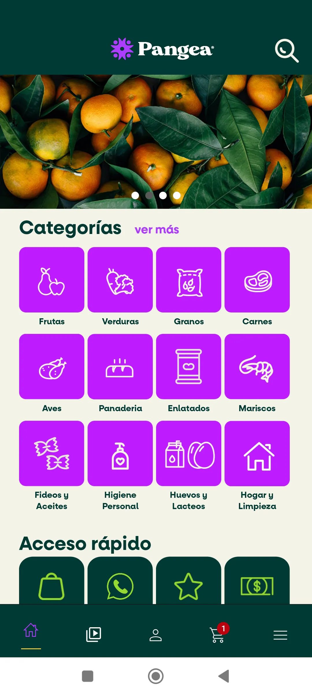 FacturaYa App
